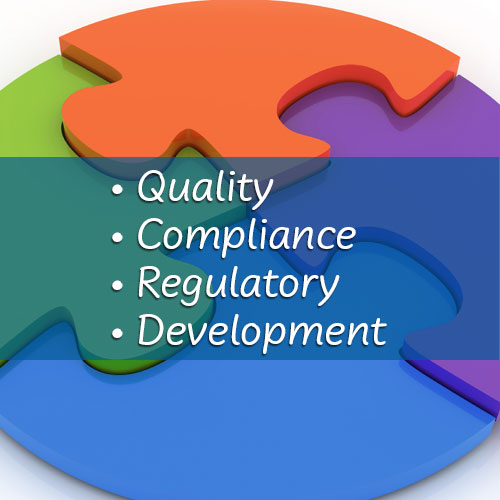 Diverse Health Consulting, LLC - Compliance-Regulatory-Development